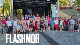 Flashmob am Binger Winzerfest 8923 [upl. by Ielarol]