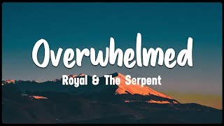 Overwhelmed  Royal amp The Serpent Vietsub  Lyrics [upl. by Esbensen]