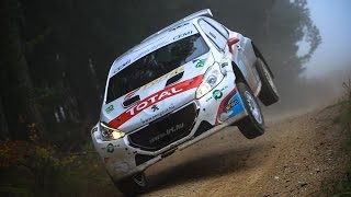 Rallye Waldviertel Test 2014 [upl. by Lander]