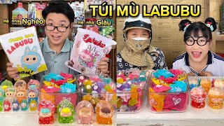 Xé Túi Mù Labubu Hệ Nhà Giàu vs Nhà Nghèo Kiểu [upl. by Glaser]