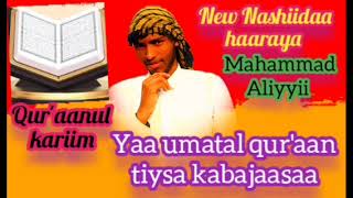 New Nashiidaa haaraya munashid mahammad Aliyyii subscribe godhaa [upl. by Claudius]