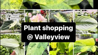 Plants shopping  Valleyview vlogmas [upl. by Phyl344]