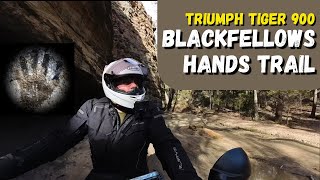 Triumph Tiger 900  Blackfellows Hands Trail in the Blue Mountains [upl. by Zaccaria]