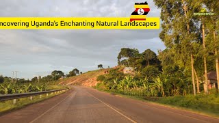 Embracing Ugandas Serenity A Peaceful Travel Experience  May 18 2024 [upl. by Rett]