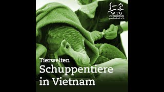 Tierwelten  Schuppentiere in Vietnam [upl. by Nnylrac]