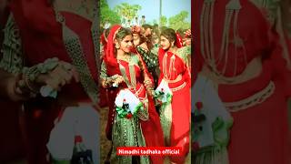 Thingeri thingeri wo tute ghani wo luteri 😍 anil piplaj new song 2024 youtubeshorts trendingshorts [upl. by Shulock]