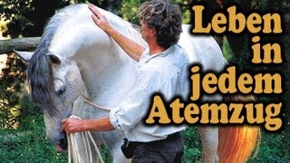 Leben In Jedem Atemzug  Die Kunst ein Pferd zu führen [upl. by Morten]