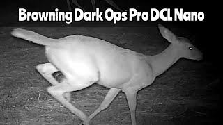 Browning Dark Ops Pro DCL Nano 1080p Sept 1428 2024 [upl. by Earla]