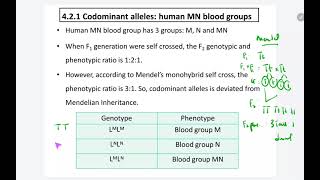 421 Codominant alleles [upl. by Soisatsana592]