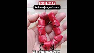 Gelang batu red coralred marjan Mediterania [upl. by Jarid]