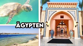 Lohnt sich Ägypten Unsere Erfahrungen im Steigenberger Resort amp Schnorcheln [upl. by Nivalc]