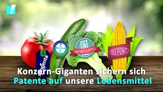 Monsanto greift nach dem Leben  jetzt unterzeichnen [upl. by Redla396]