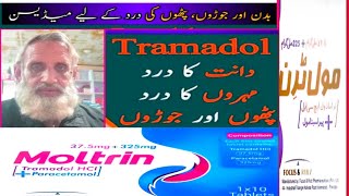 Moltrin tablet uses in urduTramadol benefits in urdu paracetamol uses FocusampRulz pharma [upl. by Eneri72]