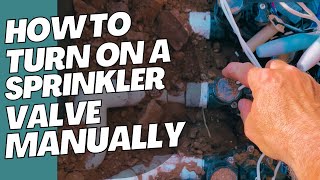 How To Turn On A Sprinkler Valve Manually  Rain Bird PGA Valve [upl. by Hilda945]