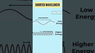 The Electromagnetic Spectrum  Visible Lights Radio Waves and Xrays [upl. by Gwyn741]