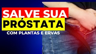 Descubra as Ervas Milagrosas que Salvam sua Próstata  Previna e Reduza Doenças da PRÓSTATA [upl. by Annauj]