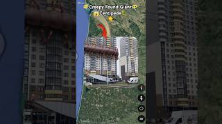 Creepy Found Giant Centipede 😱🤯 on google maps and google earth 🌎 shots hrgoogleearth [upl. by Rendrag928]