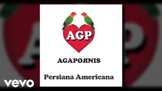 Agapornis  Persiana Americana Pseudo Video [upl. by Eniawd]