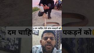 पाइप से सांप पकड़ा।Snake catch with pipe🐍snake cobra nagin catch viral video collab reaction [upl. by Stewardson]