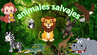 ANIMALES SALVAJES PARA NIÑOS  CON SONIDO [upl. by Henebry469]