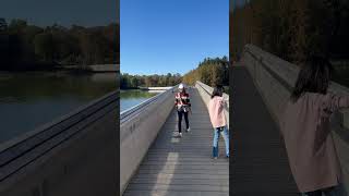 Wood Bridge Midgardsormen  Kleppe 🇳🇴 shortsvideo viralvideo trending travel norway [upl. by Drol]