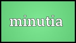 Minutia Meaning [upl. by Sapphira]