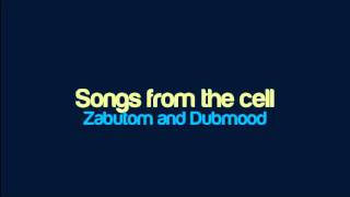 Zabutom and Dubmood  Songs from the cell [upl. by Allemat]