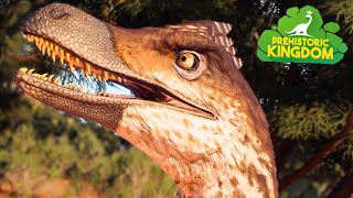 VELOCIRAPTORS are here  Prehistoric Kingdom 4K [upl. by Bellew]