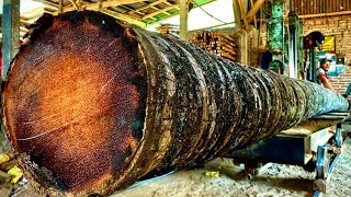 This is the longest form of coconut wood and is as hard as iron [upl. by Atalya]