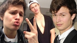 7 Times Ansel Elgort Made the Internet SWOON [upl. by Crifasi]