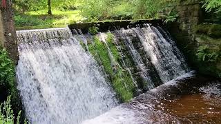 Wanderung im Murgtal ○Gausbacher Wildweg○ [upl. by Gitlow]