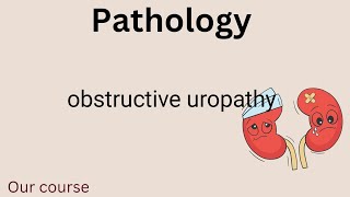 L3  pathology obstructive uropathyrenal 42 [upl. by Elleimac]