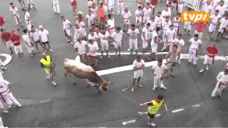 Fêtes de Bayonne 2013 Courses de vaches [upl. by Atlanta469]