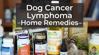 Dog Lymphoma Alternative Cancer Regimen [upl. by Yeclek]