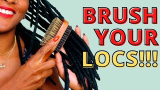 Loc Brushing TIPS from a LOCTICIAN Must See [upl. by Adkins68]