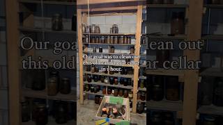 Removing 150 canning jars full of soiled food junkremoval cleaning asmr beforeandafter [upl. by Olva161]