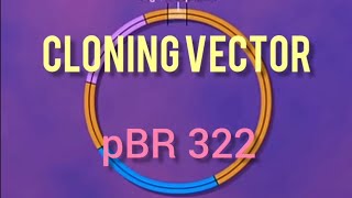 Cloning VectorPlasmid pBR322  Biotechnology Principle and process Class 12th Biology classes [upl. by Hannah]