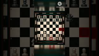 Birds opening trap For blacky close to100 subs chess ytshorts chess trape tricks IR26k [upl. by Catherin]