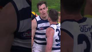 SDK was all of us when Jeremy took that mark 🤩 geelongcats afl [upl. by Alissa]