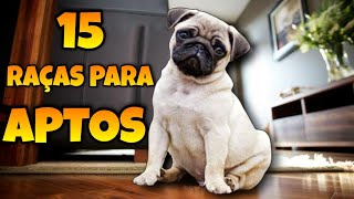 15 Cachorros Para Apartamento [upl. by Leggat]