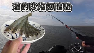 灘釣沙梭初體驗！？意外解鎖超級大沙梭王！ fishing 釣り沙梭 釣魚 趕海 [upl. by Winnick922]