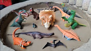 Dinossauros de Plástico Presos na Lama Apatossauro Brontossauro Braquiossauro Agustinia [upl. by Sedda]