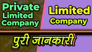 What Is Pvt Ltd and Limited Company  Listed and Unlisted Company Difference In Hindi [upl. by Macfadyn]