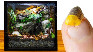 DIY Rubber Ducky Isopod Dripping Cave Vivarium [upl. by Cloutman]