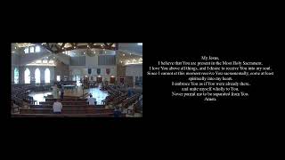 St Francis of Assisi Catholic Church Live Stream [upl. by Giah111]