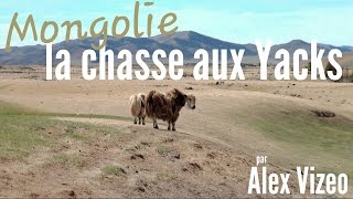 MONGOLIE  La chasse aux YAKS [upl. by Ogram]