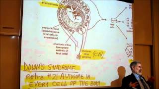 BIOLOGY CHROMOSOME ANOMALIES amp GENETIC DISEASES by Professor Finkwmv [upl. by Adriell]