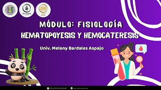 7 HEMATOPOYESIS Y HEMOCATERESIS SOCEMURP Melany Bardales [upl. by Abernon]