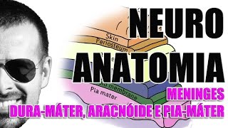 Meninges Duramáter aracnóide e piamáter  Sistema NervosoNeuroanatomia  Vídeo Aula 077 [upl. by Kcyred361]