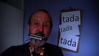 Les 4 simpele 12 maten blues spelen op je mondharmonica [upl. by Rodavlas]